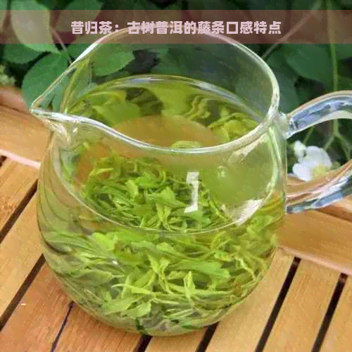 昔归茶：古树普洱的藤条口感特点