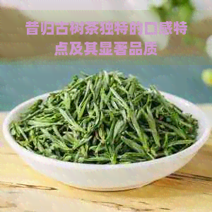 昔归古树茶独特的口感特点及其显著品质