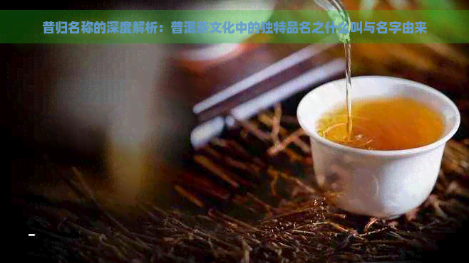 昔归名称的深度解析：普洱茶文化中的独特品名之什么叫与名字由来