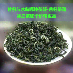 昔归与冰岛哪种茶好-昔归茶和冰岛茶哪个价格更高