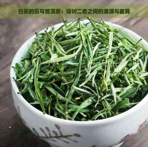 白茶的历与普洱茶：探讨二者之间的渊源与差异