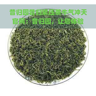 昔归园昔归紧压茶牛气冲天官网：昔归园，让您体验茶文化生活。