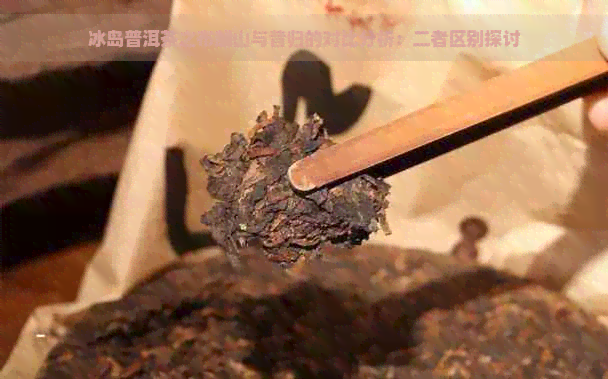 冰岛普洱茶之布朗山与昔归的对比分析：二者区别探讨