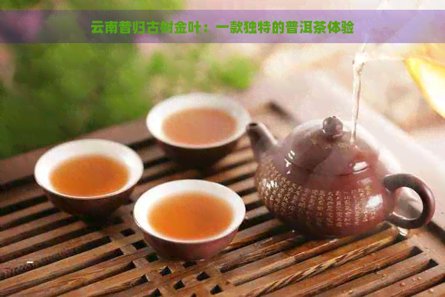 云南昔归古树金叶：一款独特的普洱茶体验