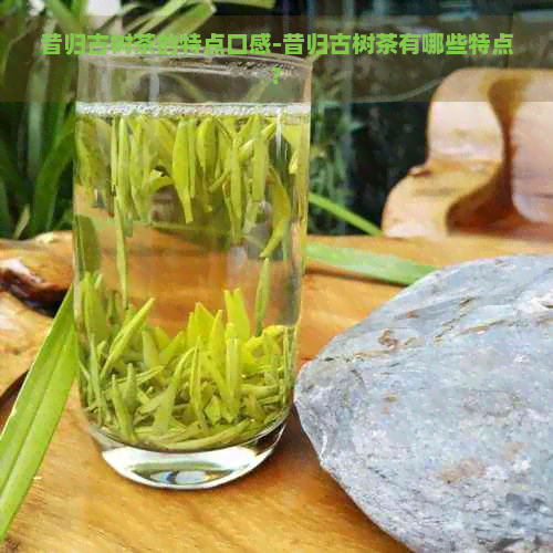 昔归古树茶的特点口感-昔归古树茶有哪些特点?