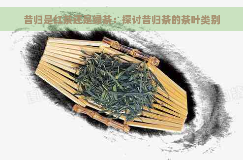 昔归是红茶还是绿茶：探讨昔归茶的茶叶类别