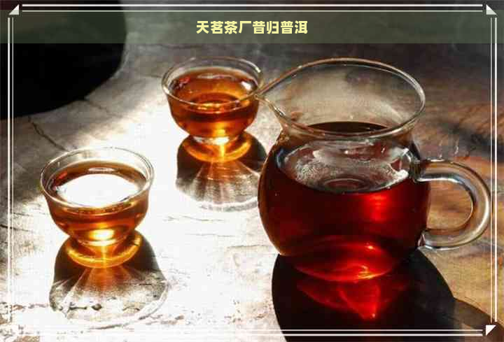 天茗茶厂昔归普洱