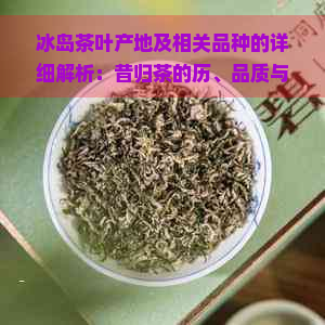 冰岛茶叶产地及相关品种的详细解析：昔归茶的历、品质与饮用方法