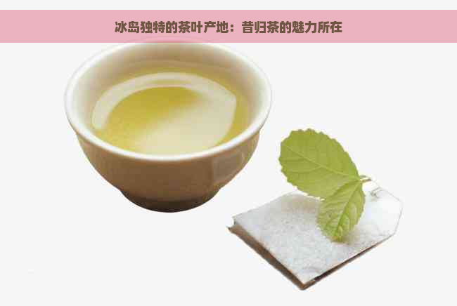 冰岛独特的茶叶产地：昔归茶的魅力所在