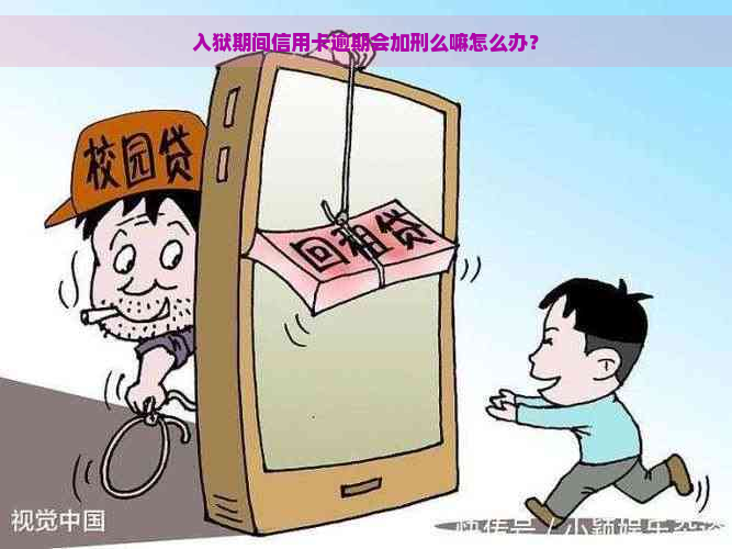 入狱期间信用卡逾期会加刑么嘛怎么办？