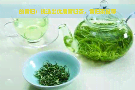 的昔归：挑选出优质昔归茶，昔归茶推荐