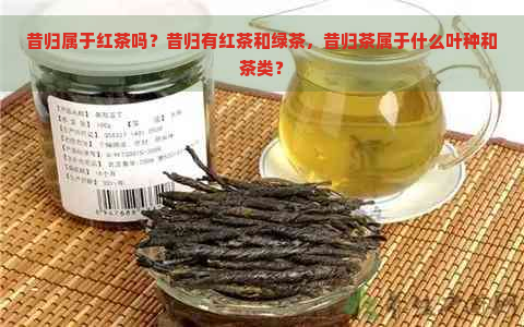昔归属于红茶吗？昔归有红茶和绿茶，昔归茶属于什么叶种和茶类？