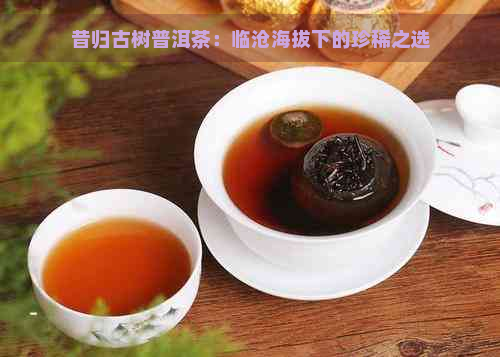 昔归古树普洱茶：临沧海拔下的珍稀之选