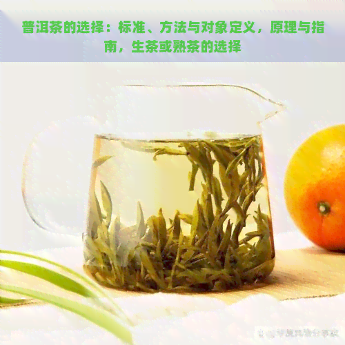 普洱茶的选择：标准、方法与对象定义，原理与指南，生茶或熟茶的选择