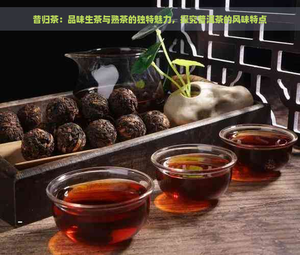 昔归茶：品味生茶与熟茶的独特魅力，探究普洱茶的风味特点