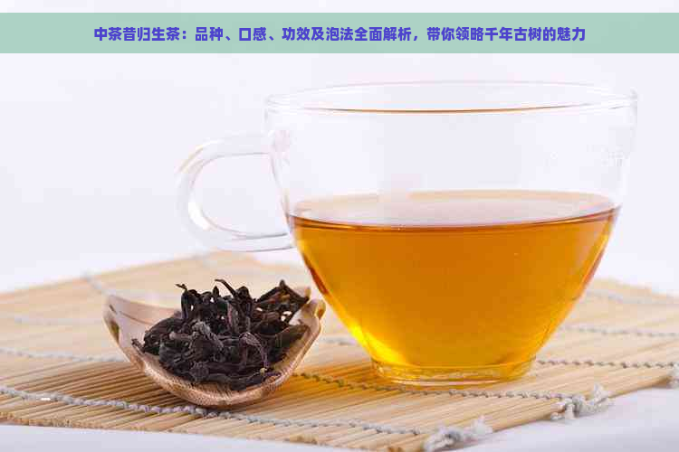 中茶昔归生茶：品种、口感、功效及泡法全面解析，带你领略千年古树的魅力