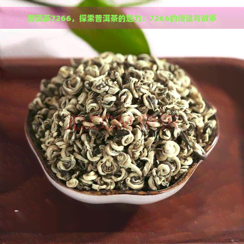 普洱茶7266，探索普洱茶的魅力：7266的传说与故事