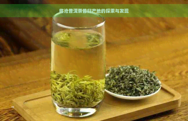 临沧普洱茶昔归产地的探索与发现