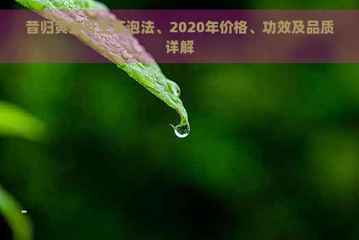 昔归黄金叶生茶泡法、2020年价格、功效及品质详解