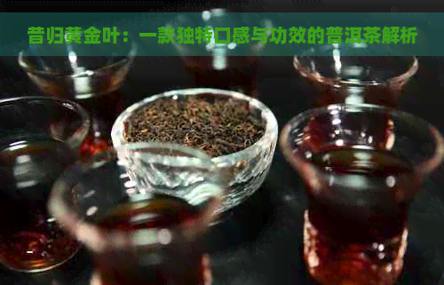 昔归黄金叶：一款独特口感与功效的普洱茶解析