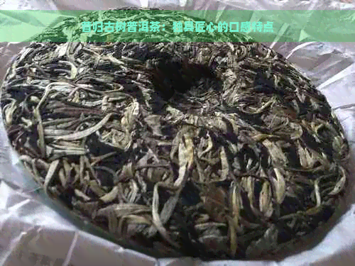 昔归古树普洱茶：独具匠心的口感特点