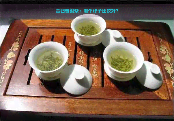 昔归普洱茶：哪个牌子比较好？