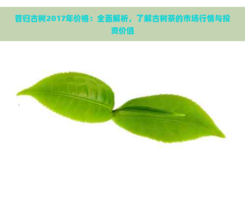 昔归古树2017年价格：全面解析，了解古树茶的市场行情与投资价值