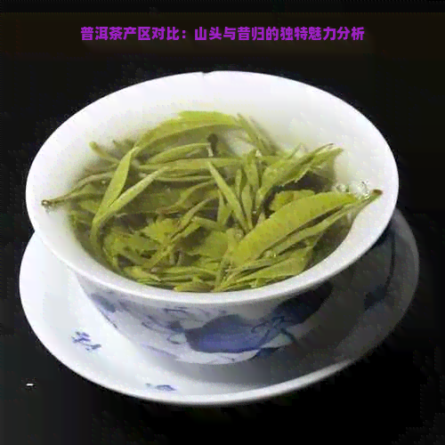 普洱茶产区对比：山头与昔归的独特魅力分析