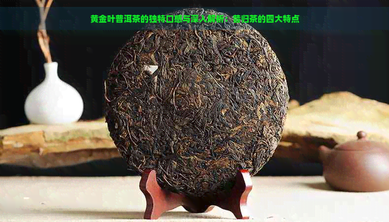 黄金叶普洱茶的独特口感与深入解析：昔归茶的四大特点