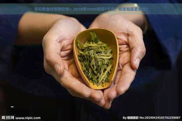 昔归黄金叶茶砖价格：2018年1000克和1千克，你想知道更多吗？