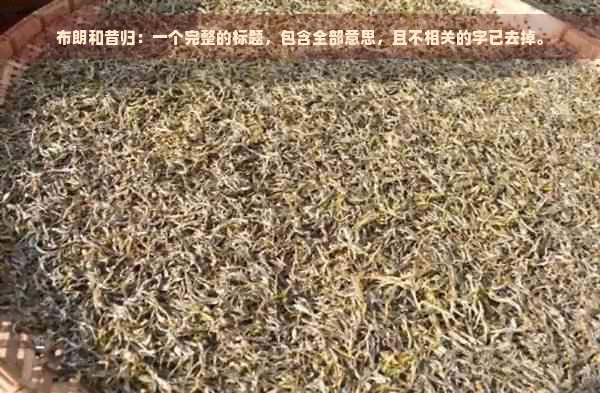 布朗和昔归：一个完整的标题，包含全部意思，且不相关的字已去掉。