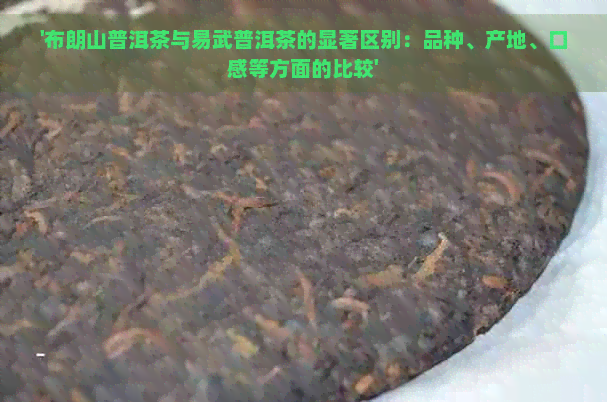 '布朗山普洱茶与易武普洱茶的显著区别：品种、产地、口感等方面的比较'