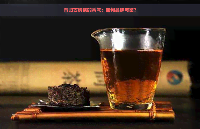 昔归古树茶的香气：如何品味与鉴？