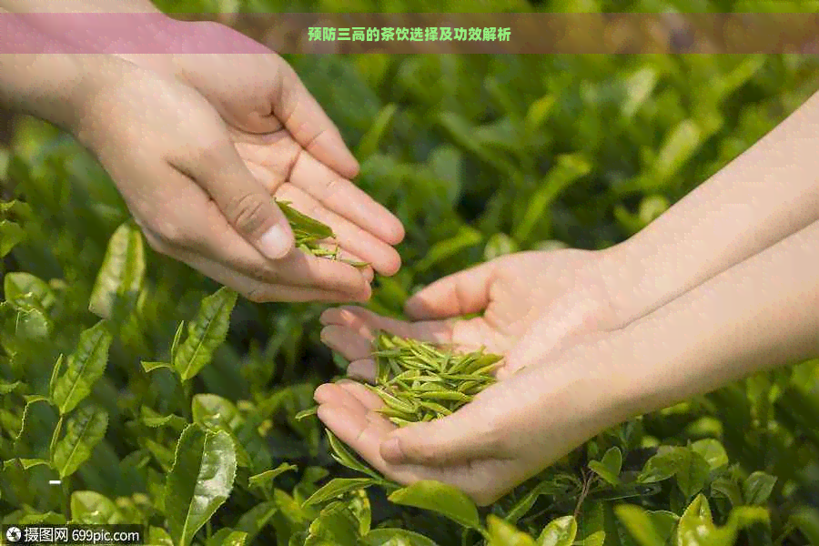 预防三高的茶饮选择及功效解析