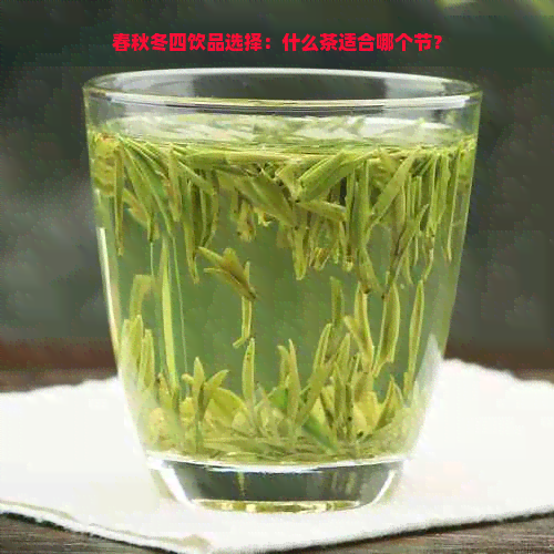 春秋冬四饮品选择：什么茶适合哪个节？