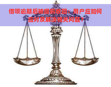 借呗逾期后被提前收回：用户应如何应对及解决相关问题？