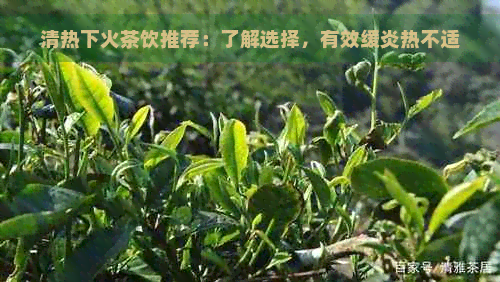 清热下火茶饮推荐：了解选择，有效缓炎热不适