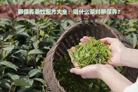 卵保养茶饮配方大全：喝什么茶对卵保养？