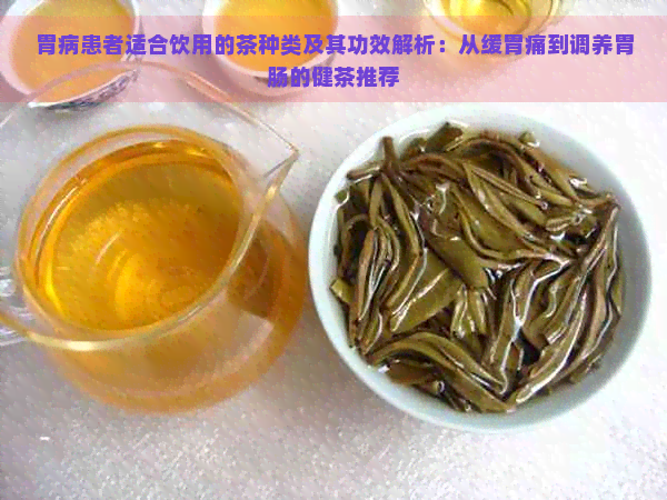 胃病患者适合饮用的茶种类及其功效解析：从缓胃痛到调养胃肠的健茶推荐