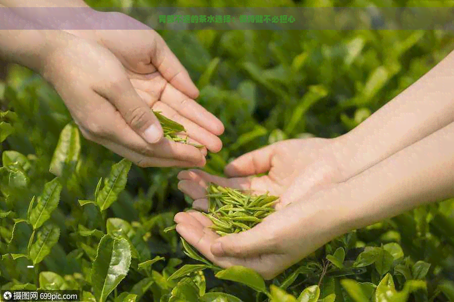 胃部不适的茶水选择：保持健不必担心