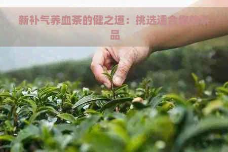 新补气养血茶的健之道：挑选适合你的茶品