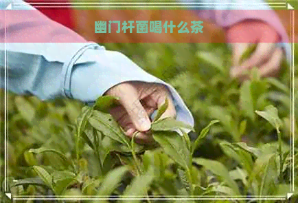 幽门杆菌喝什么茶