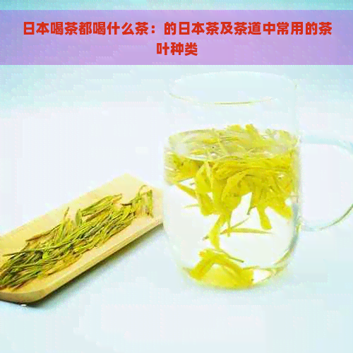 喝茶都喝什么茶：的茶及茶道中常用的茶叶种类