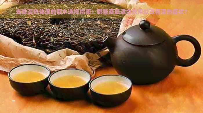 去除湿热体质的茶水选择指南：哪些茶最适合饮用以改善湿热症状？