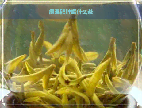 痰湿肥胖喝什么茶