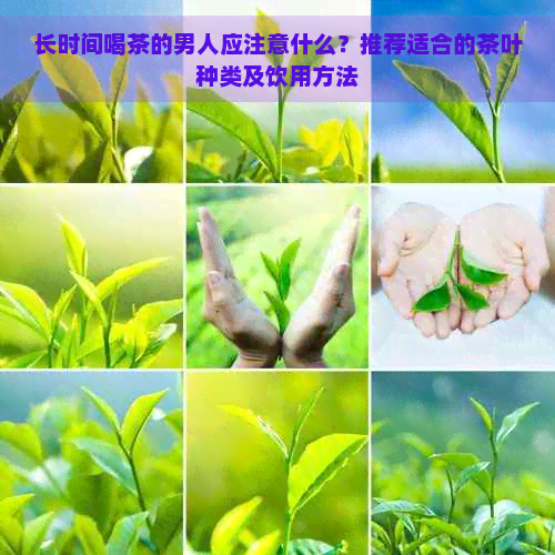 长时间喝茶的男人应注意什么？推荐适合的茶叶种类及饮用方法