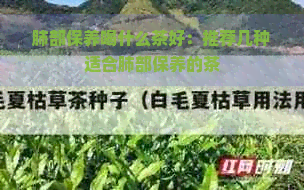 肺部保养喝什么茶好：推荐几种适合肺部保养的茶