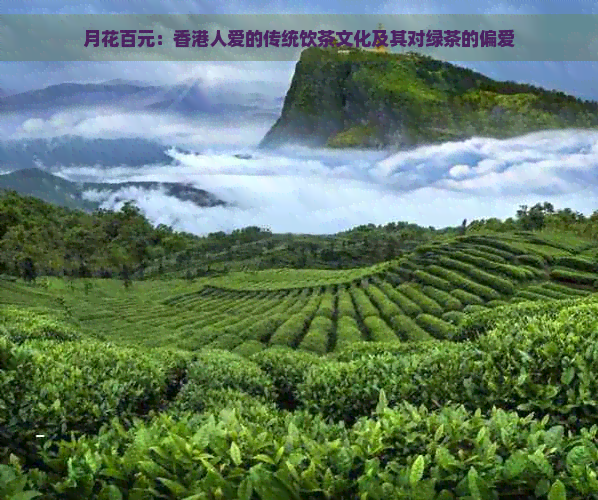 月花百元：人爱的传统饮茶文化及其对绿茶的偏爱