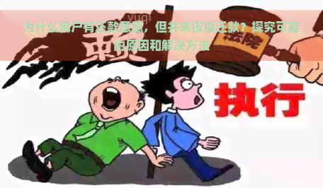 为什么用户有还款意愿，但并未按期还款？探究可能的原因和解决方法