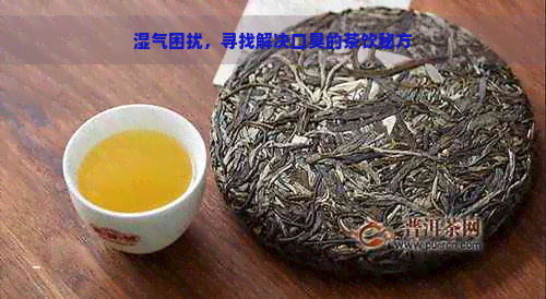 湿气困扰，寻找解决口臭的茶饮秘方